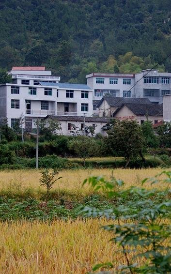 镇盛镇