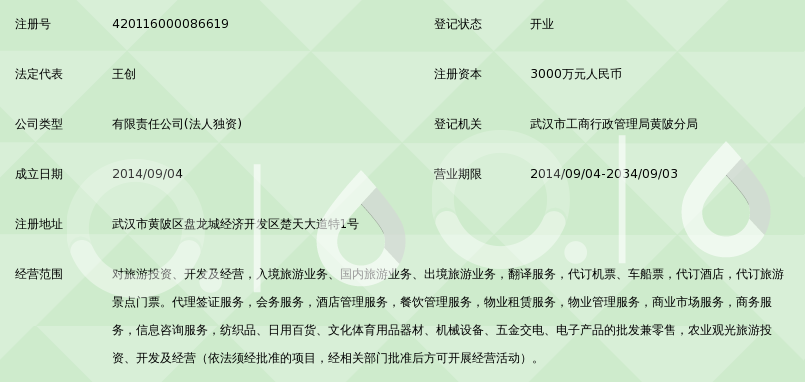 武汉卓尔文旅集团有限公司