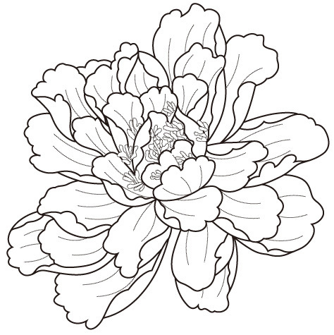 竹子花边素材简笔画_相框方形花边素材_校园手抄报_第